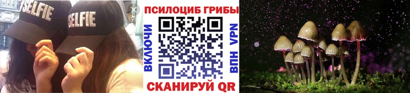 Галлюциногенные грибы прущие грибы купить закладку Фрязино