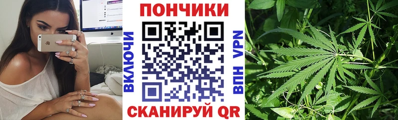 купить наркотик  Фрязино  МАРИХУАНА конопля 